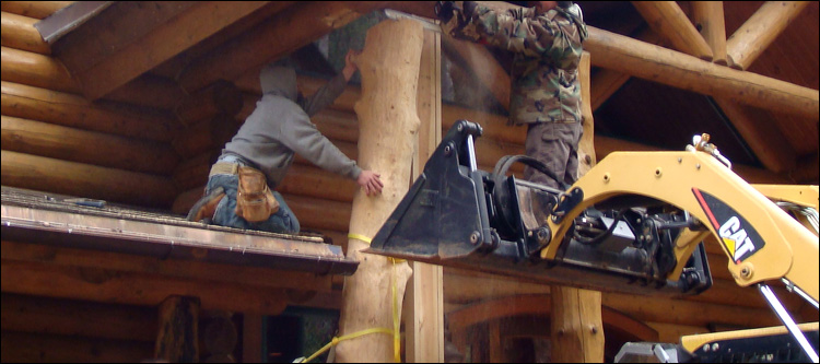 Log Home Log Replacement  Put In Bay, Ohio