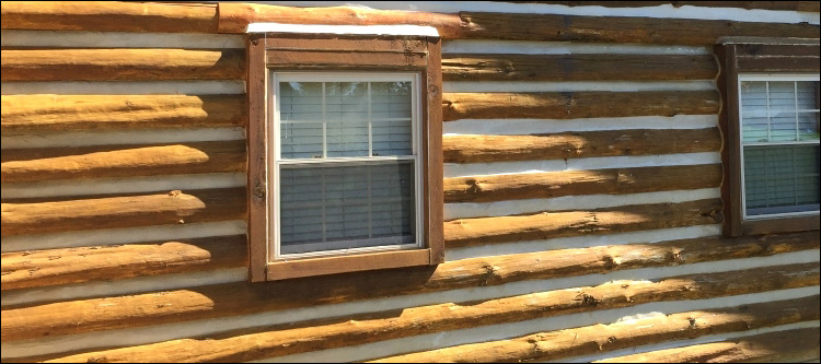 Log Home Whole Log Replacement  Martin, Ohio