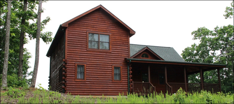 Professional Log Home Borate Application  Isle Saint George, Ohio